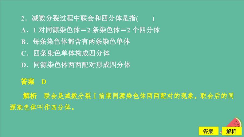 新教材2023版高中生物第2章基因和染色体的关系第1节减数分裂和受精作用第1课时精子的形成过程课件新人教版必修2第5页