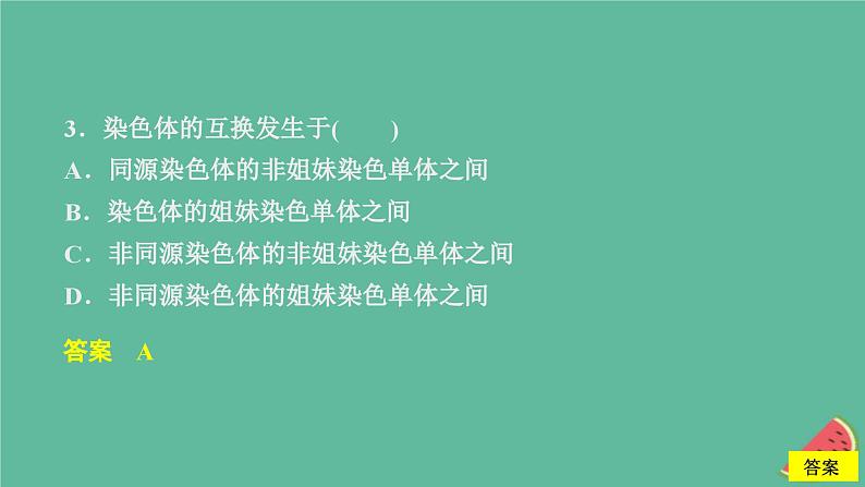 新教材2023版高中生物第2章基因和染色体的关系第1节减数分裂和受精作用第1课时精子的形成过程课件新人教版必修2第6页