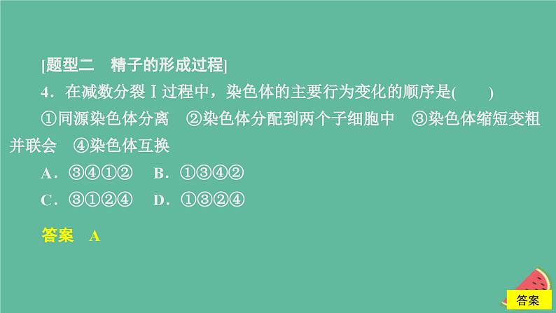 新教材2023版高中生物第2章基因和染色体的关系第1节减数分裂和受精作用第1课时精子的形成过程课件新人教版必修2第7页