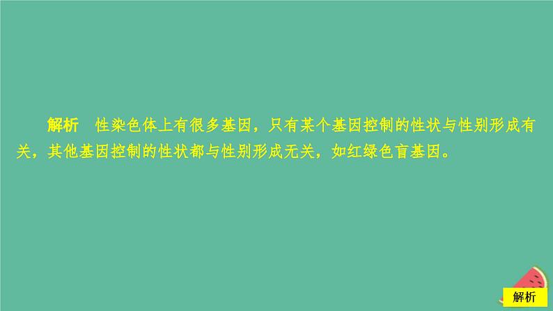 新教材2023版高中生物第2章基因和染色体的关系第3节伴性遗传课件新人教版必修2第4页