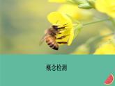 新教材2023版高中生物第3章基因的本质第2节DNA的结构课件新人教版必修2