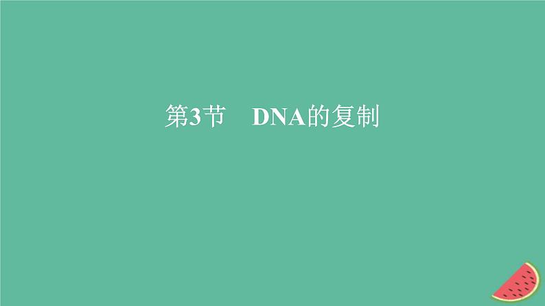 新教材2023版高中生物第3章基因的本质第3节DNA的复制课件新人教版必修2第1页