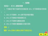 新教材2023版高中生物第3章基因的本质第3节DNA的复制课件新人教版必修2