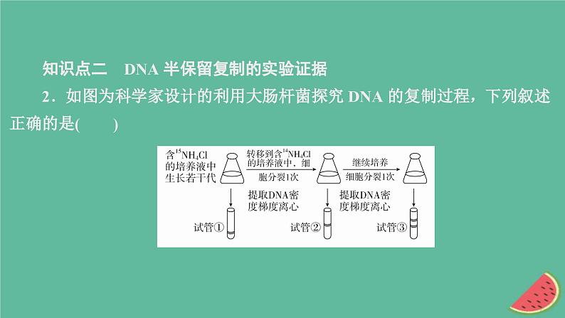 新教材2023版高中生物第3章基因的本质第3节DNA的复制课件新人教版必修2第4页