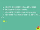 新教材2023版高中生物第3章基因的本质第3节DNA的复制课件新人教版必修2