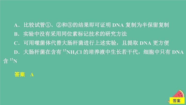 新教材2023版高中生物第3章基因的本质第3节DNA的复制课件新人教版必修2第5页