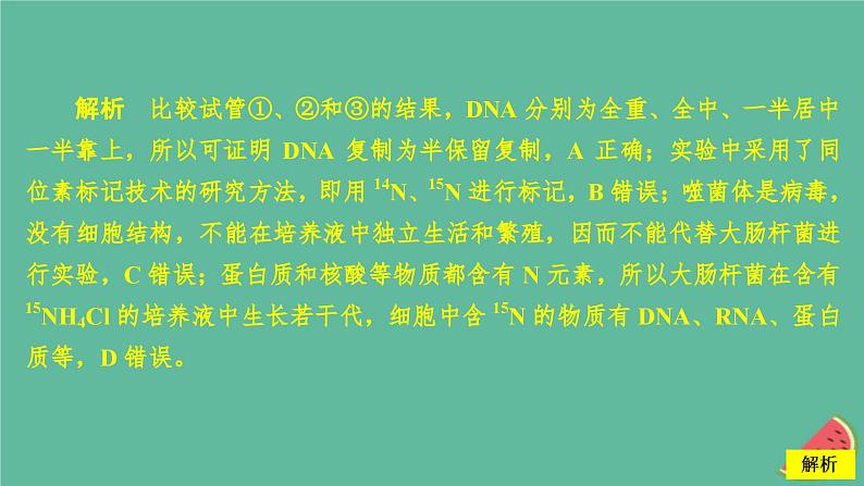 新教材2023版高中生物第3章基因的本质第3节DNA的复制课件新人教版必修2第6页