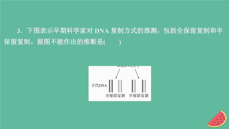 新教材2023版高中生物第3章基因的本质第3节DNA的复制课件新人教版必修2第7页