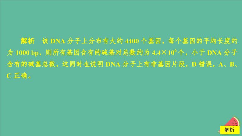 新教材2023版高中生物第3章基因的本质第4节基因通常是有遗传效应的DNA片段课件新人教版必修204