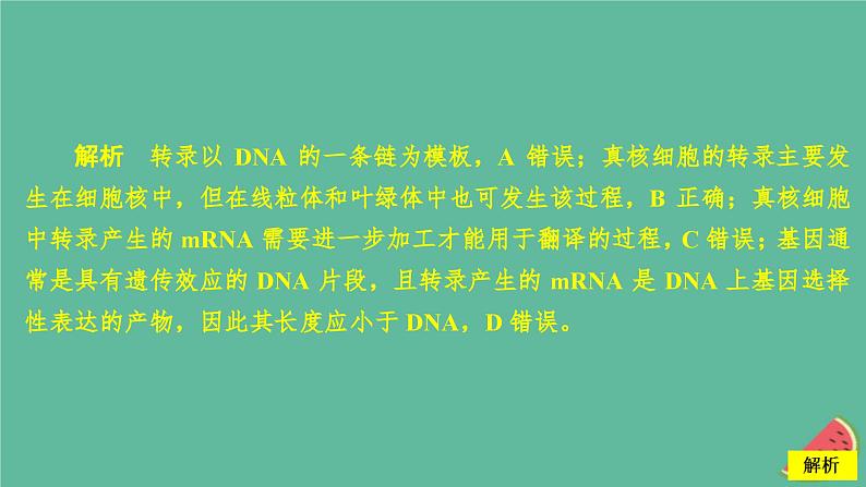 新教材2023版高中生物第4章基因的表达第1节基因指导蛋白质的合成课件新人教版必修206