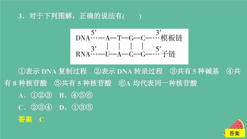 新教材2023版高中生物第4章基因的表达第1节基因指导蛋白质的合成课件新人教版必修207