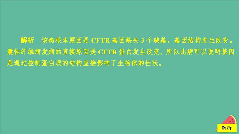 新教材2023版高中生物第4章基因的表达第2节基因表达与性状的关系课件新人教版必修205