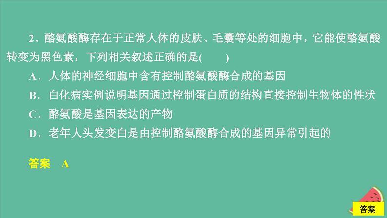 新教材2023版高中生物第4章基因的表达第2节基因表达与性状的关系课件新人教版必修206