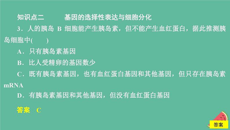 新教材2023版高中生物第4章基因的表达第2节基因表达与性状的关系课件新人教版必修208