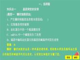 新教材2023版高中生物第5章基因突变及其他变异第1节基因突变和基因重组课件新人教版必修2