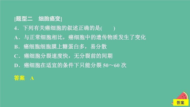 新教材2023版高中生物第5章基因突变及其他变异第1节基因突变和基因重组课件新人教版必修207