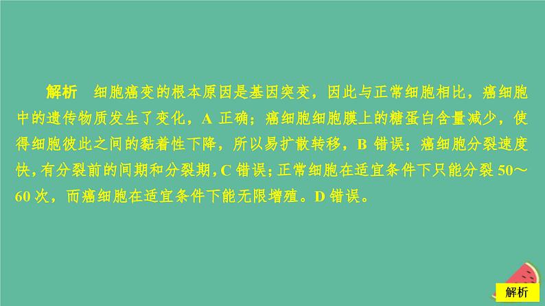 新教材2023版高中生物第5章基因突变及其他变异第1节基因突变和基因重组课件新人教版必修208