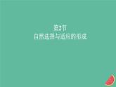新教材2023版高中生物第6章生物的进化第2节自然选择与适应的形成课件新人教版必修2