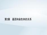新教材2023年高中生物第2章基因和染色体的关系本章整合课件新人教版必修2
