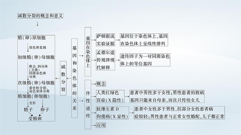 新教材2023年高中生物第2章基因和染色体的关系本章整合课件新人教版必修205