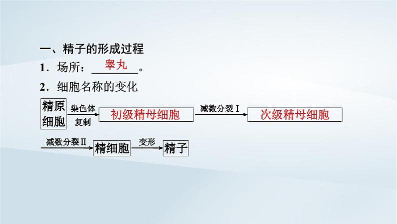 新教材2023年高中生物第2章基因和染色体的关系第1节减数分裂和受精作用课件新人教版必修2第6页