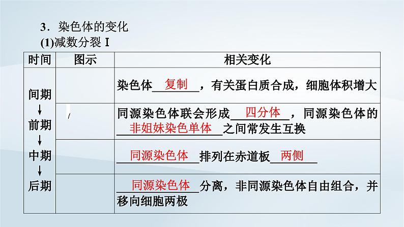 新教材2023年高中生物第2章基因和染色体的关系第1节减数分裂和受精作用课件新人教版必修2第7页