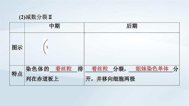 新教材2023年高中生物第2章基因和染色体的关系第1节减数分裂和受精作用课件新人教版必修2第8页