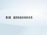 新教材2023年高中生物第2章基因和染色体的关系第2节基因在染色体上课件新人教版必修2