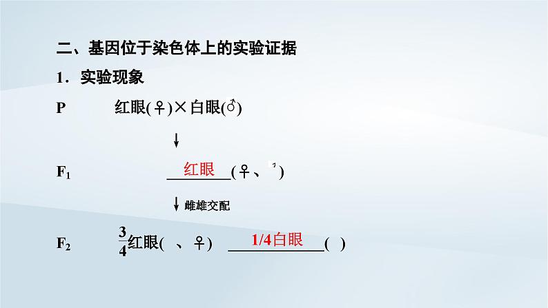 新教材2023年高中生物第2章基因和染色体的关系第2节基因在染色体上课件新人教版必修208