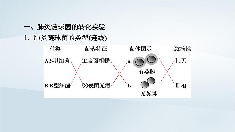 新教材2023年高中生物第3章基因的本质第1节DNA是主要的遗传物质课件新人教版必修2第6页