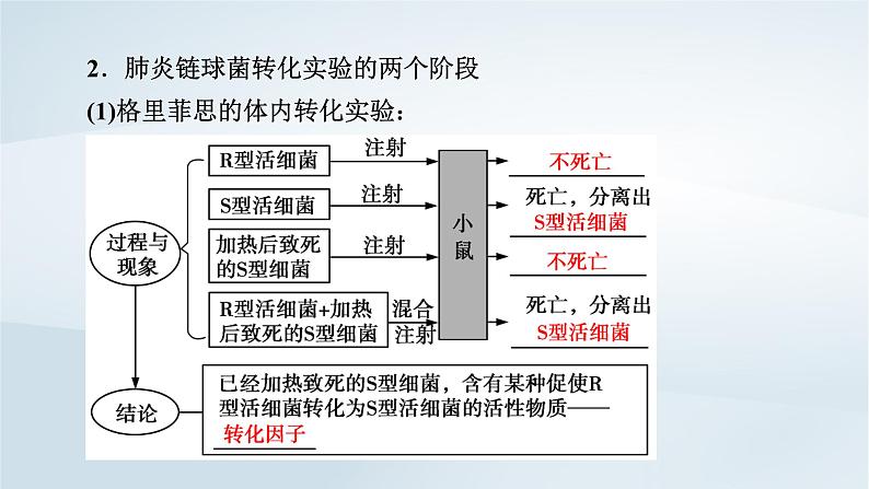 新教材2023年高中生物第3章基因的本质第1节DNA是主要的遗传物质课件新人教版必修2第7页