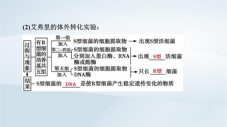 新教材2023年高中生物第3章基因的本质第1节DNA是主要的遗传物质课件新人教版必修2第8页