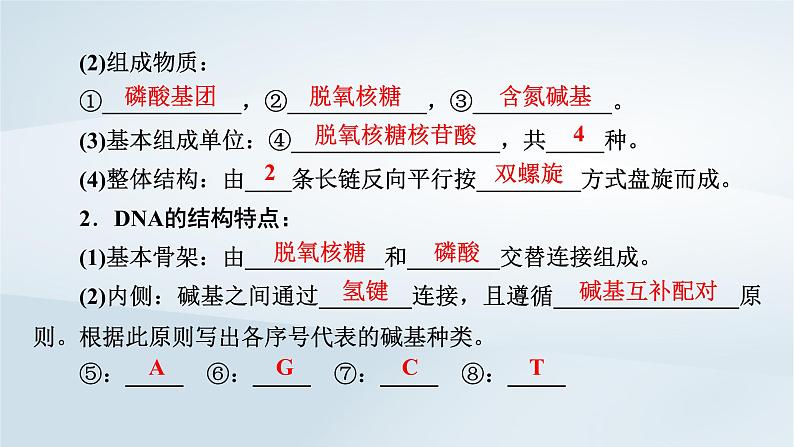 新教材2023年高中生物第3章基因的本质第2节DNA的结构课件新人教版必修2第8页