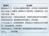 新教材2023年高中生物第3章基因的本质第3节DNA的复制第4节DNA的复制课件新人教版必修2