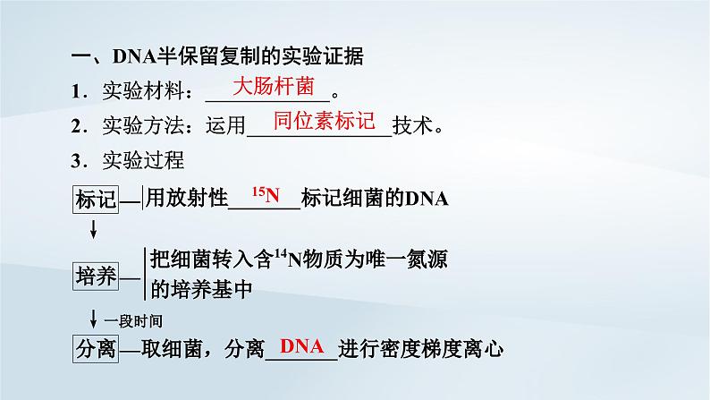 新教材2023年高中生物第3章基因的本质第3节DNA的复制第4节DNA的复制课件新人教版必修2第6页