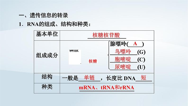 新教材2023年高中生物第4章基因的表达第1节基因指导蛋白质的合成课件新人教版必修206