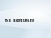 新教材2023年高中生物第5章基因突变及其他变异本章整合课件新人教版必修2