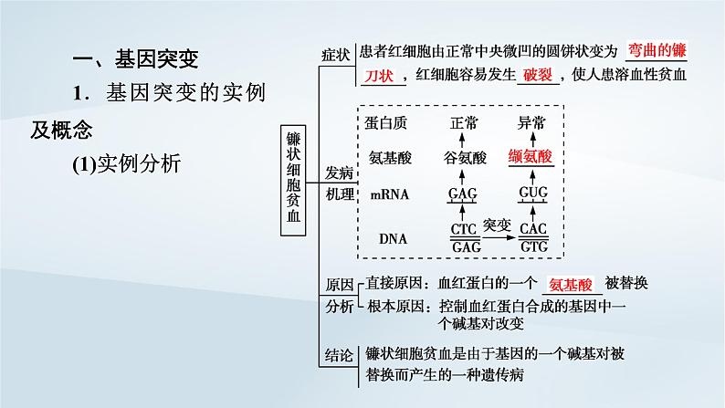 新教材2023年高中生物第5章基因突变及其他变异第1节基因突变和基因重组课件新人教版必修206