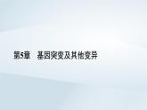 新教材2023年高中生物第5章基因突变及其他变异第3节人类遗传病 课件新人教版必修2