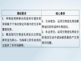 新教材2023年高中生物第6章生物的进化第2节自然选择与适应的形成课件新人教版必修2
