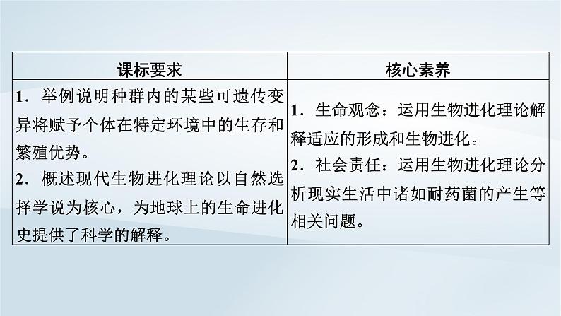 新教材2023年高中生物第6章生物的进化第2节自然选择与适应的形成课件新人教版必修2第3页