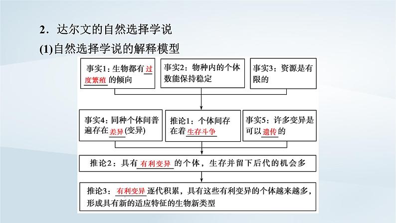 新教材2023年高中生物第6章生物的进化第2节自然选择与适应的形成课件新人教版必修2第8页