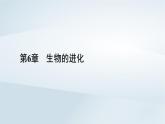 新教材2023年高中生物第6章生物的进化第4节协同进化与生物多样性的形成课件新人教版必修2