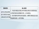 新教材2023年高中生物第6章生物的进化第4节协同进化与生物多样性的形成课件新人教版必修2