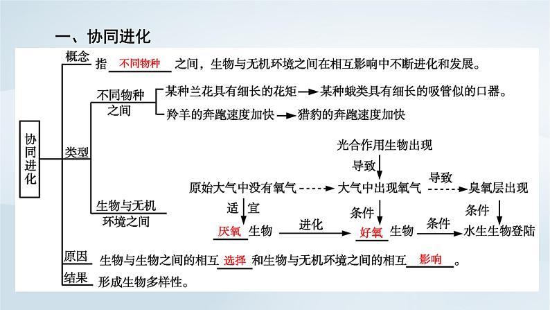 新教材2023年高中生物第6章生物的进化第4节协同进化与生物多样性的形成课件新人教版必修206