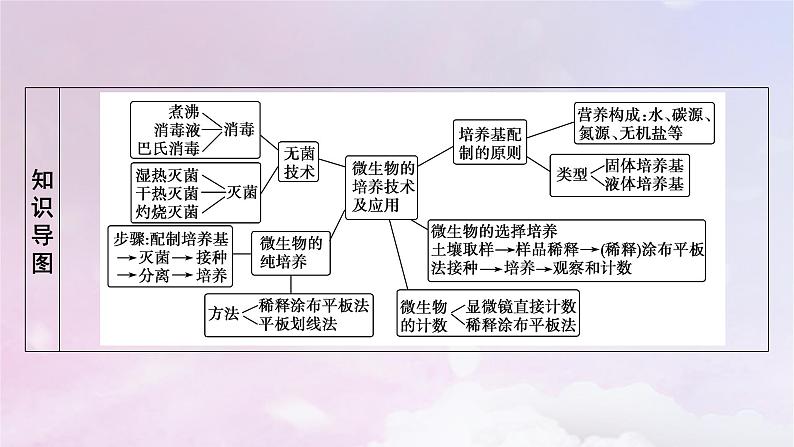 新教材2023年高中生物第1章发酵工程第2节微生物的培养技术及应用1微生物的基本培养技术课件新人教版选择性必修3第4页