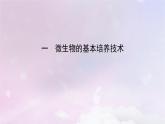 新教材2023年高中生物第1章发酵工程第2节微生物的培养技术及应用1微生物的基本培养技术课件新人教版选择性必修3