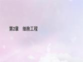 新教材2023年高中生物第2章細胞工程本章整合課件新人教版選擇性必修3