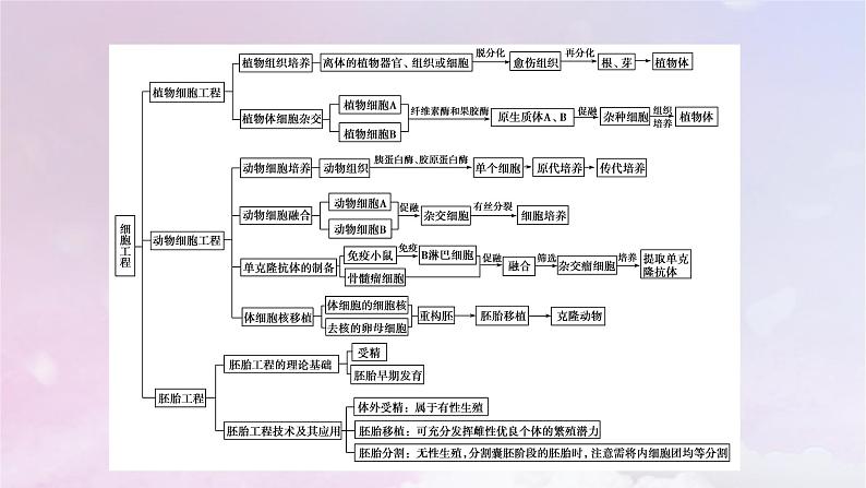 新教材2023年高中生物第2章细胞工程本章整合课件新人教版选择性必修305