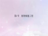 新教材2023年高中生物第2章细胞工程第1节植物细胞工程1植物细胞工程的基本技术课件新人教版选择性必修3